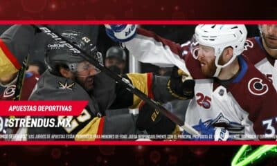 fotografía de una de las peleas en el hockey de la NHL